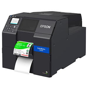 Epson C6000